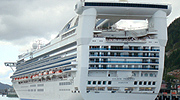 Cruise Tourism Consultant
